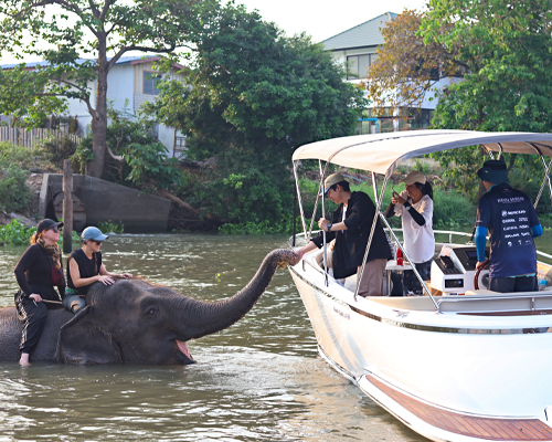 หมู่บ้านเพนียดคล้องช้าง bangkokcruiser